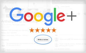 More Google Reviews