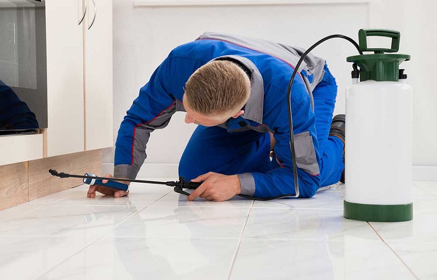 How Does Pest Control Eliminate The Health Risks For Your And Your Family?