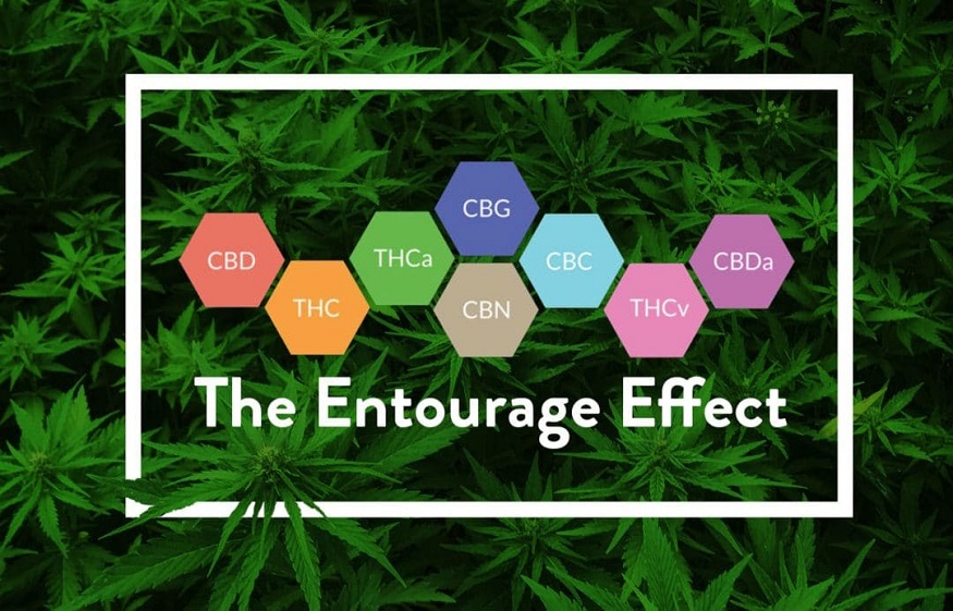 Exciting Benefits of the Broad Spectrum CBG Entourage Effect